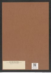 Diatomeae indet. Zeichnungen Sammlung Grunow Mappe 04342 (Herbarium_W_Grunow_drawings_Folder_04342)
